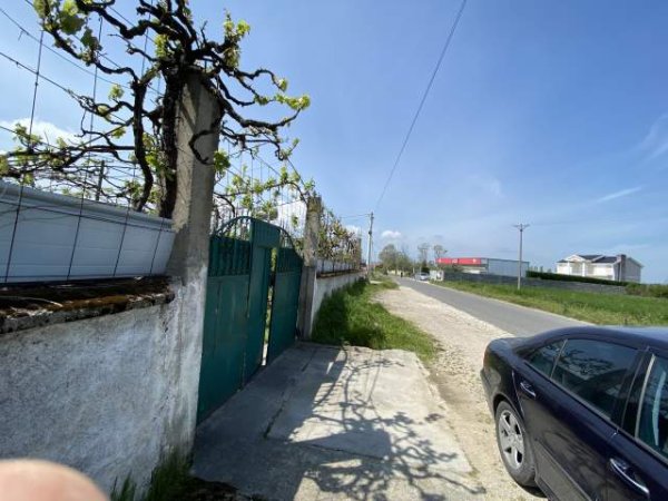 Fushe Kruje, shes toke bujqesore bashk me shtepi 1.300 m² 65.000 Leke (Rruga Nikel)