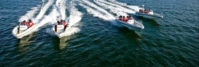Daily Boat Tour - Speed Boat Trip - Daily Boat Trip - Udhetim me anijje - Udhetim me Gomone