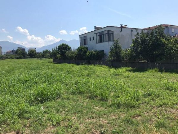 Tirane, ofert truall 1.000 m² 82.000 Euro (Rruga Liria Kamez)