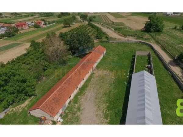Korce, shes toke 5.000 m² 130.000 Euro (Goskovë E Poshtme, Korcë.)