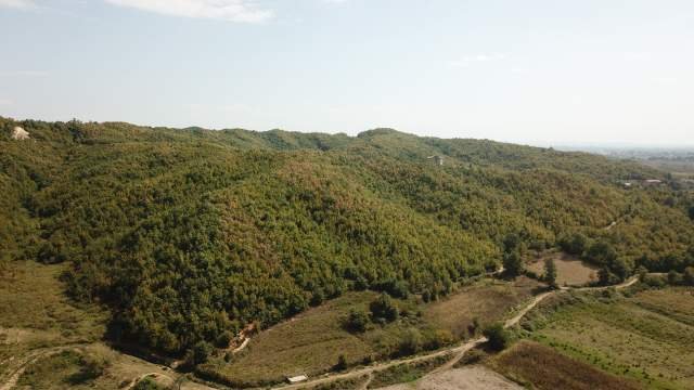 Gjiri Lalezit, shes pyll 24.500 m² 200.000 Euro (Gjiri Lalzit)