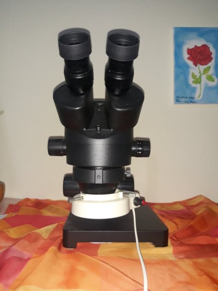 Mikroskop stereoskopik