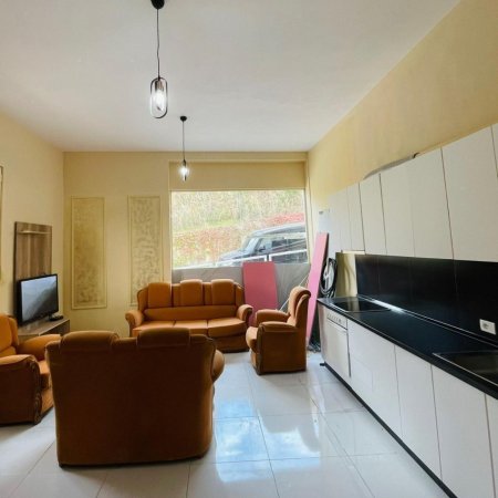 Tirane, jap me qera apartament 1+1, Kati 3, 45 m2 320 € (Eduart Mano)