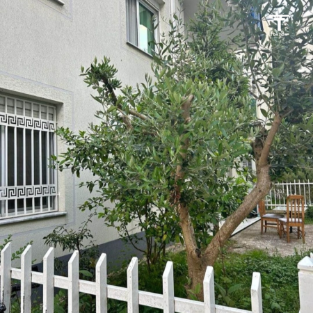 Tirane, jepet me qera apartament 2+1+Ballkon, , 100 m² 550 €, Hamdi Sina,, LIQENI I THATË