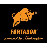 Tirane, - pastrim i automjeteve me avull