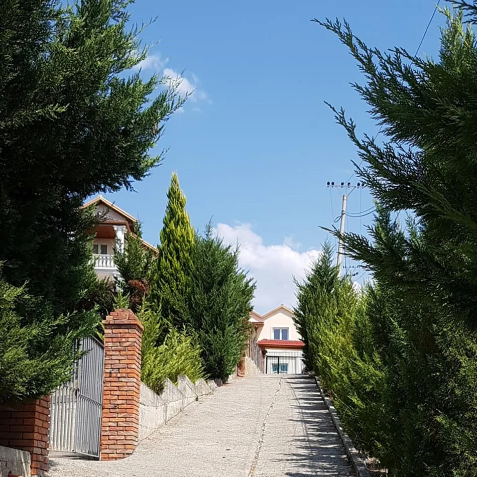 Tirane, SHITET VILE + TRUALL, 9+2+2Anekse+6 Ballkone, 2 Kate + Papafingo, 400 m² + 1,200 m2 Truall :  380.000€  (Peze e Vogel)