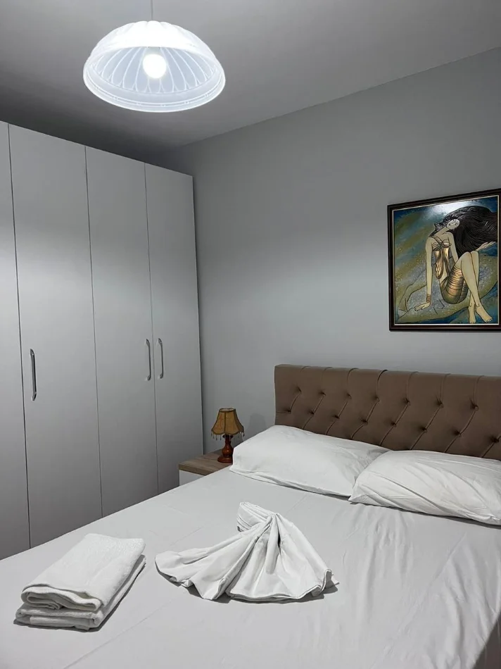 Tirane, jepet me qera apartament 1+1 Kati 4, 60 m² 450 € (rruga elbasanit)