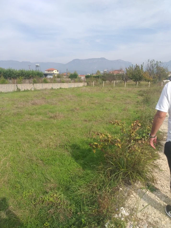 Tirane, shes , 600 m² 65.000 € 