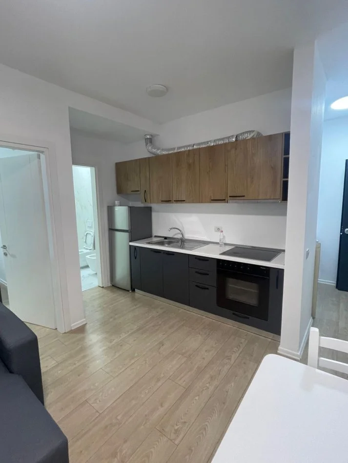 Tirane, jepet me qera apartament 1+1 Kati 1, 60 m² 500 € (Liqeni i Thate)