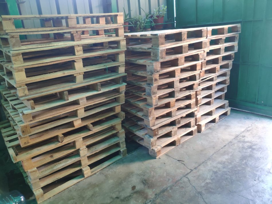 SHESIM PALETA DRURI 500 lek/Copa