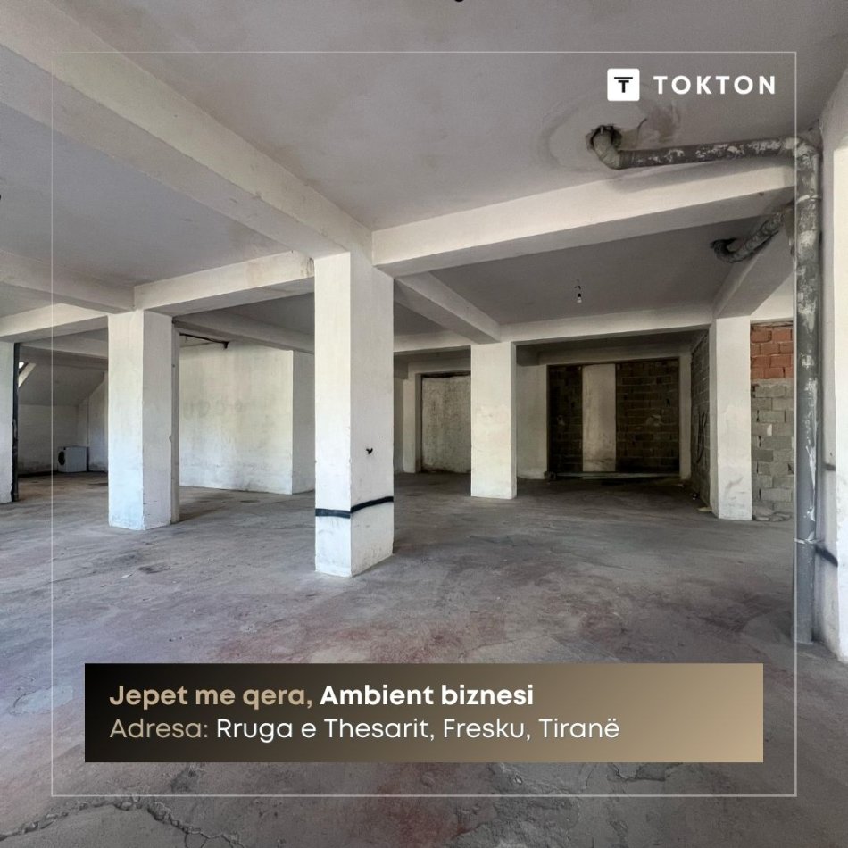 Tirane, jepet me qera ambjent biznesi Kati -1, 380 m² 800 € (Rruga e Thesarit, Fresku, Tiranë, TT 1959)