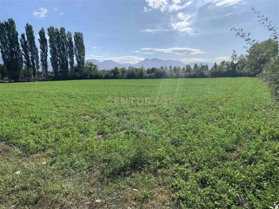 𝐓𝐢𝐫𝐚𝐧𝐞, 𝐬𝐡𝐢𝐭𝐞𝐭 𝐭𝐨𝐤𝐞 , 𝟏𝟖.𝟒𝟖𝟎 𝐦² 𝟓𝟗𝟐.𝟎𝟎𝟎 € (𝐑𝐢𝐧𝐚𝐬)