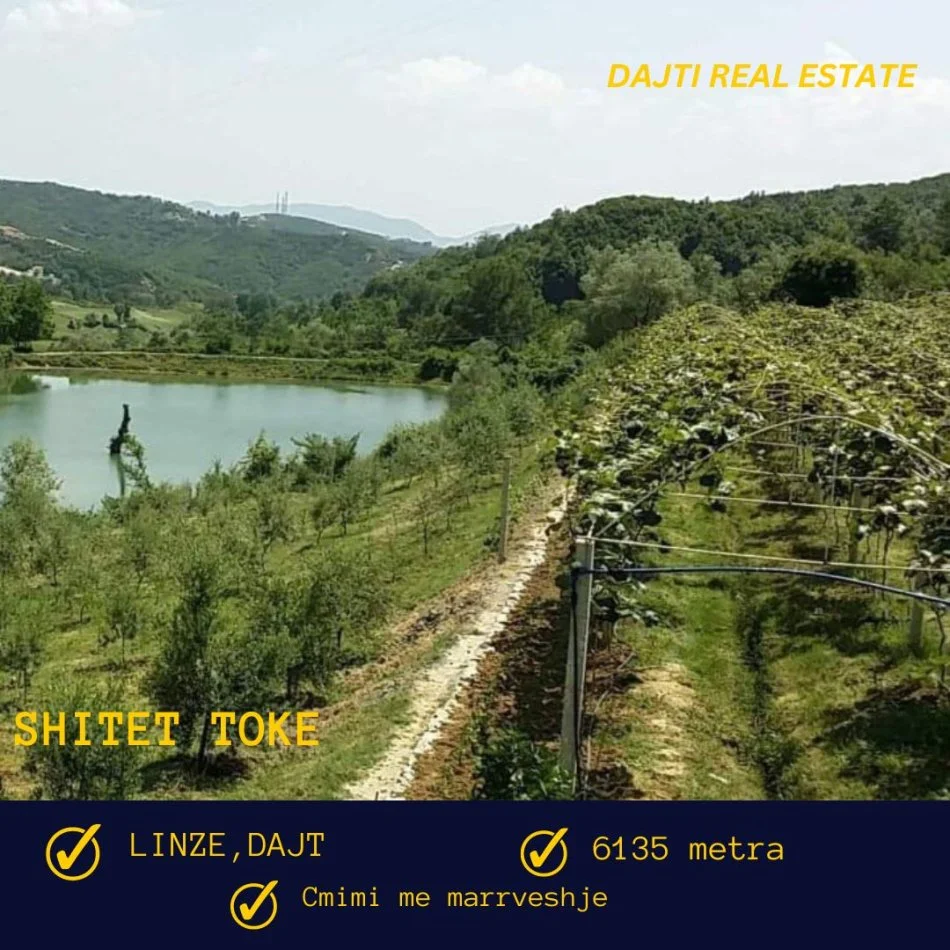 Tirane, shitet toke bujqesore , 6.135 m² (Linze,Dajt,afer Komunes)