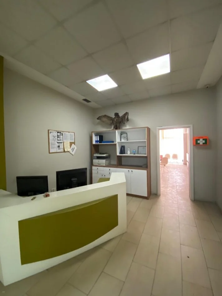 Tirane, jepet me qera zyre , 62 m² 600 € (Rruga e Kavajes)