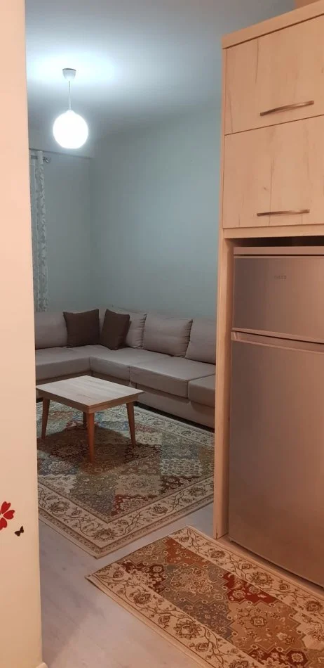 Tirane, jap me qera apartament 1+1+Ballkon Kati 2, 64 m² 500 € (21 Dhjetori)