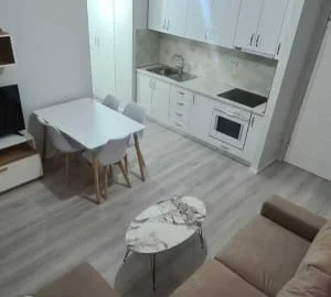 Tirane, jepet me qera apartament 1+1 Kati 2, 60 m² 360 € (Rruga e Elbasanit)