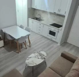 Tirane, jepet me qera apartament 1+1 Kati 1, 60 m² 60 € (Sauk)