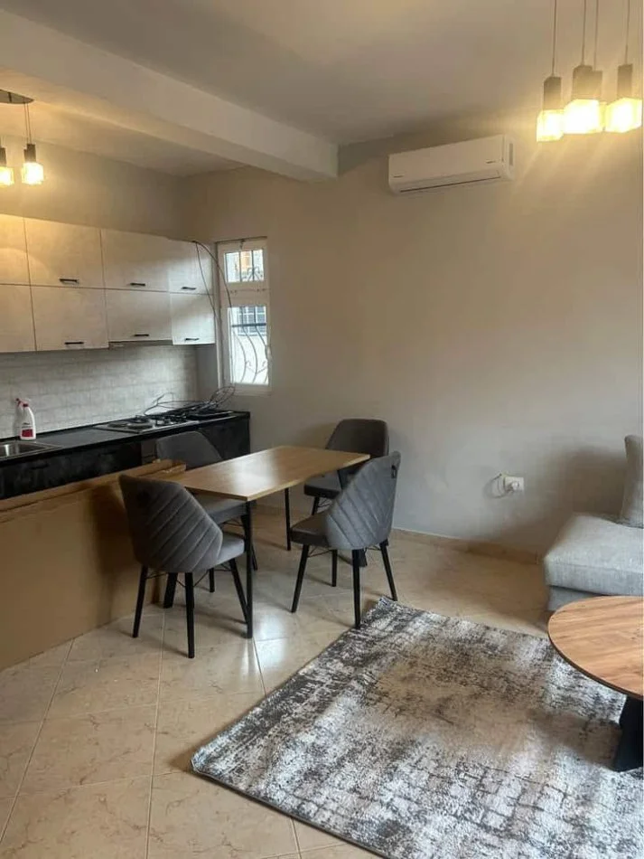 Tirane, jepet me qera Vile 2+1 Kati 1, 100 m² 470 € (Rruga Migjeni)