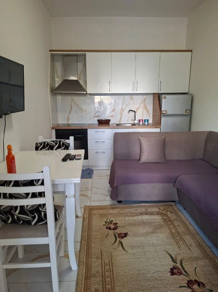 Tirane, jepet me qera apartament 1+1+Ballkon Kati 1, 55 m² 300 € (Jordan Misja)