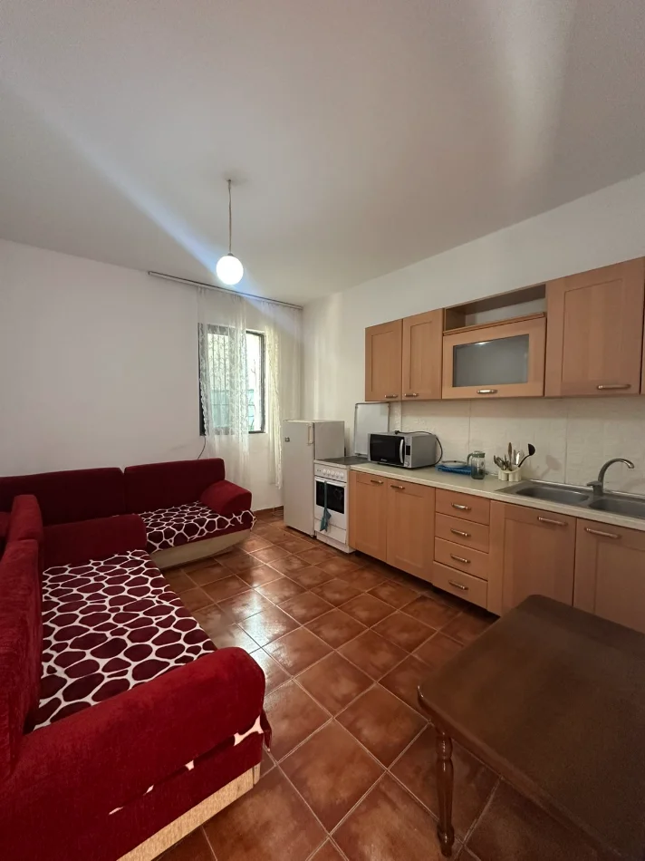 Tirane, jepet me qera apartament 1+1 Kati 1, 60 m² 480 € (Komuna e Parisit)