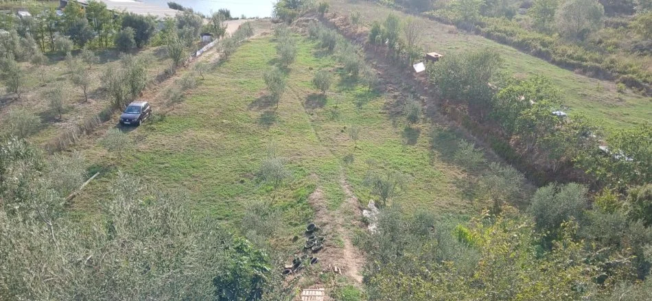 Tirane, jap me qera , 3.750 m² 1.200 € (Rruga Keçja)