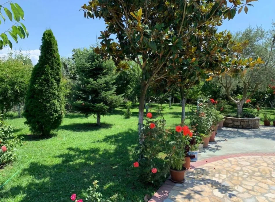 Tirane, shitet ambjent biznesi Kati 3, 160.000 m² 2.000.000 € (Rinas)