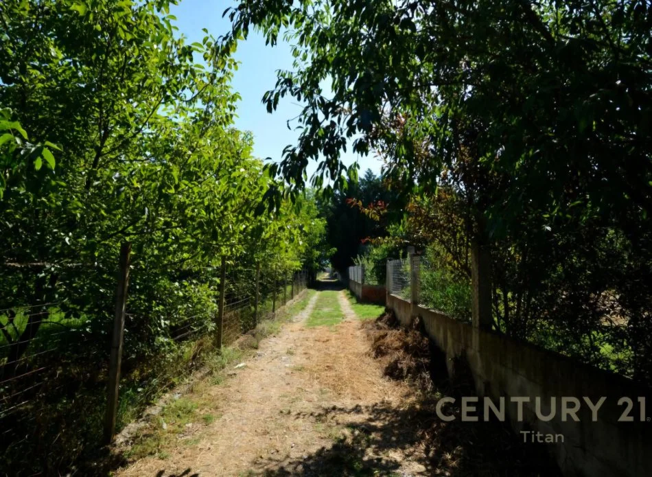 Tirane, shitet ambjent biznesi Kati 3, 160.000 m² 2.000.000 € (Rinas)