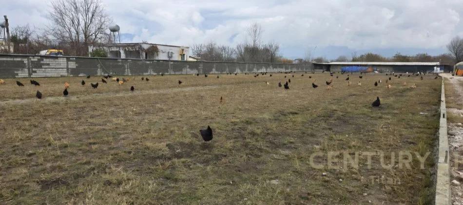 Tirane, shitet ambjent biznesi Kati 3, 160.000 m² 2.000.000 € (Rinas)