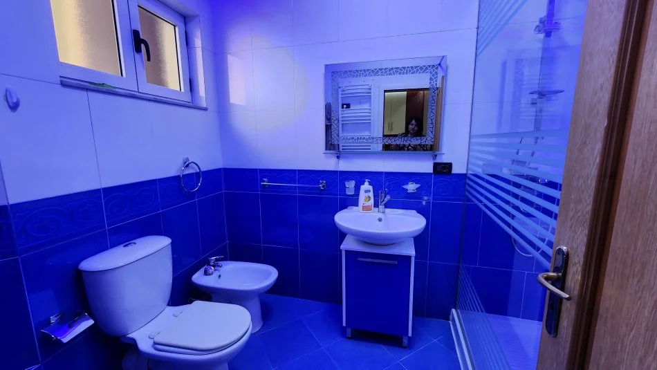 Tirane, jepet me qera apartament 1+1 Kati 2, 70 m² 500 € (Rruga e Elbasanit)