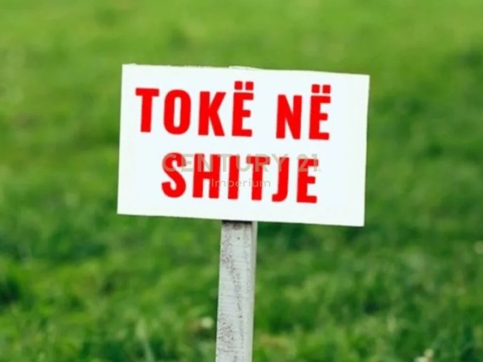 Shqiperi, shitet toke , 1.000 m² (shengjin)