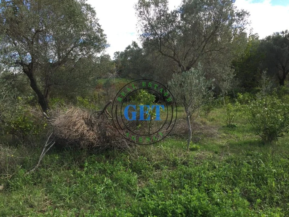 Durres, shitet toke , 900 m² 120.000 € (golem)