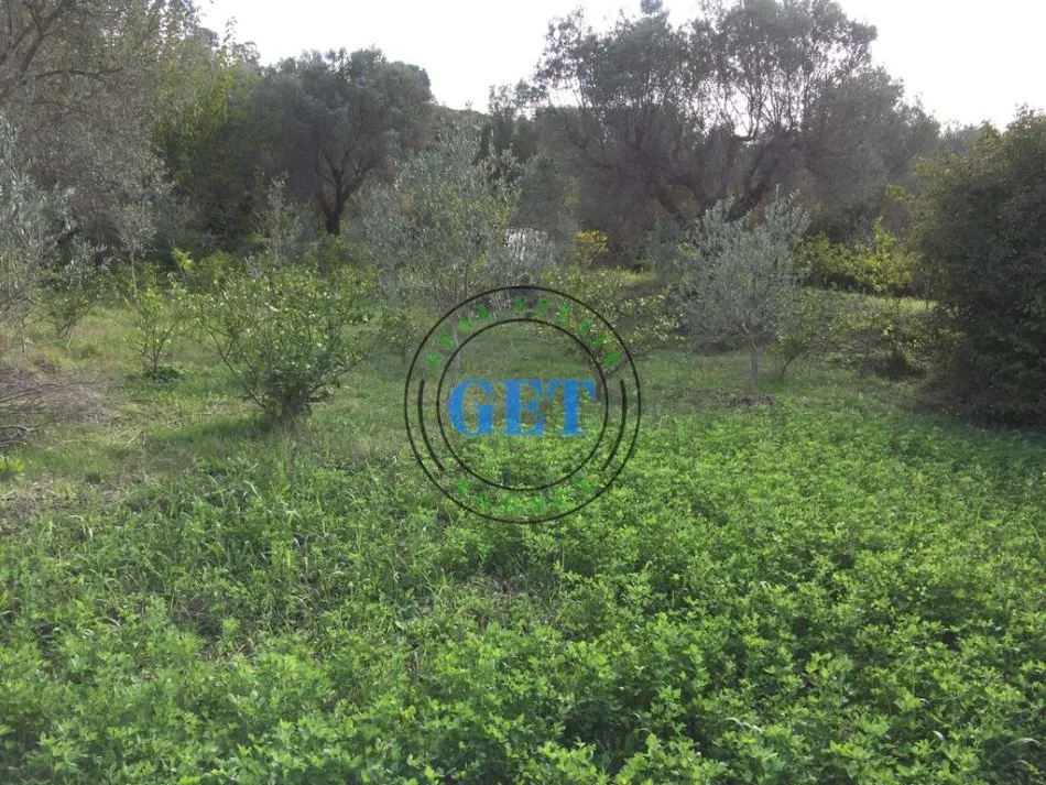 Durres, shitet truall , 900 m² 120.000 € (Golem)