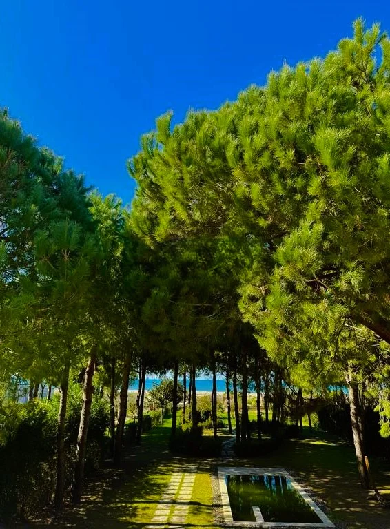 Durres, shitet Vile 4+1+Aneks+Ballkon Kati 2, 1.500 m² 1.200.000 € 