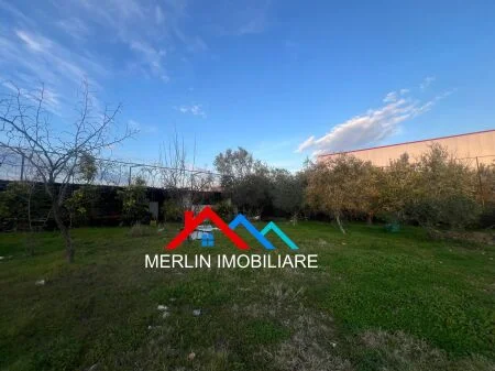 Tirane, jepet me qera toke , 2.000 m² (MAMINAS-VORE)