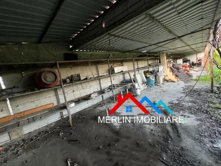 Tirane, jepet me qera toke , 2.000 m² (MAMINAS-VORE)