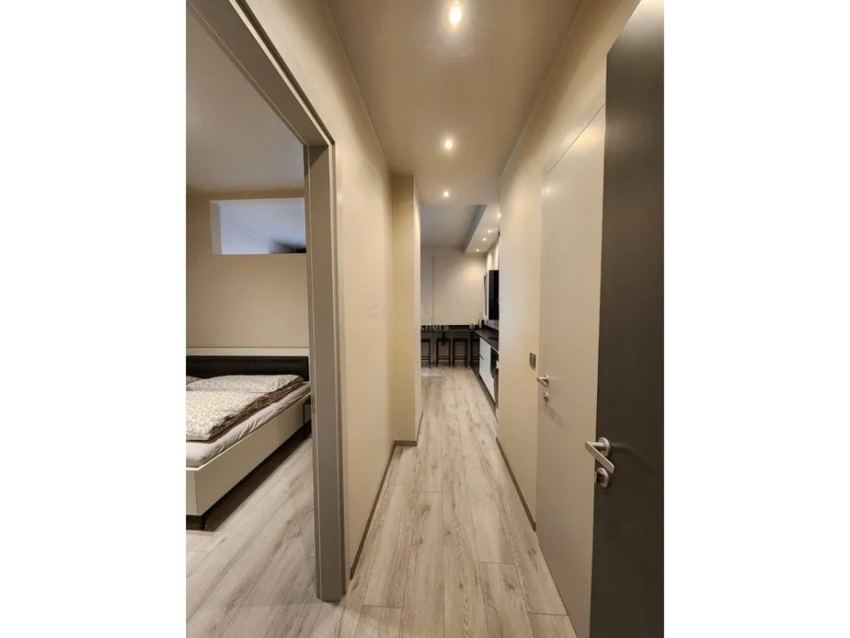Tirane, jap me qera apartament 1+1 , 105 m² 650 € (Kopshti Botanik Zoologjik)