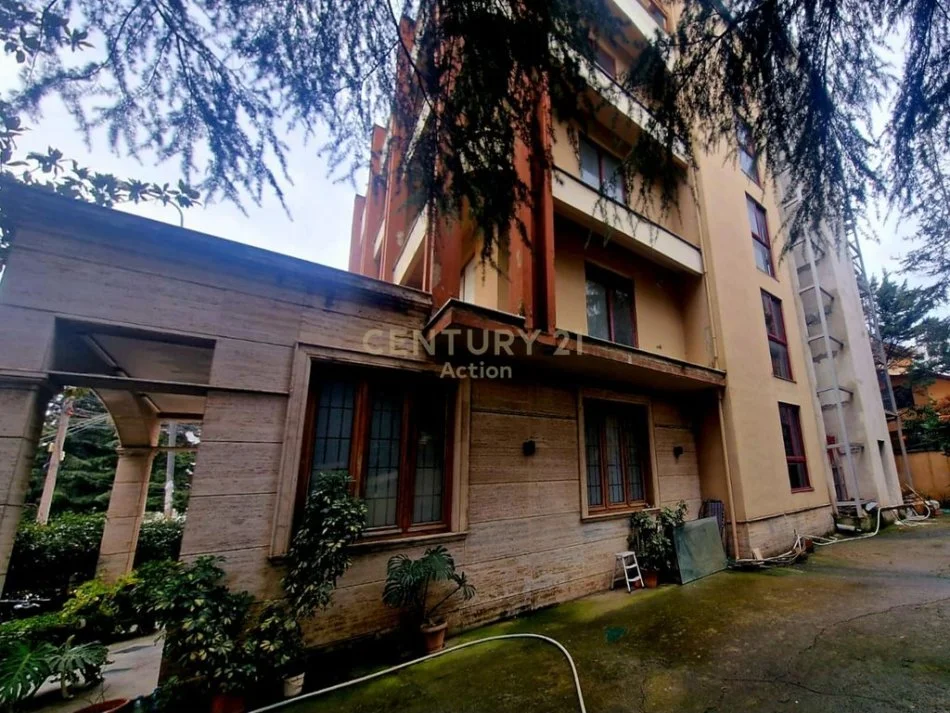 Tirane, jap me qera ambjent biznesi , 984 m² 20.000 € (BLV. "BAJRAM CURRI",)
