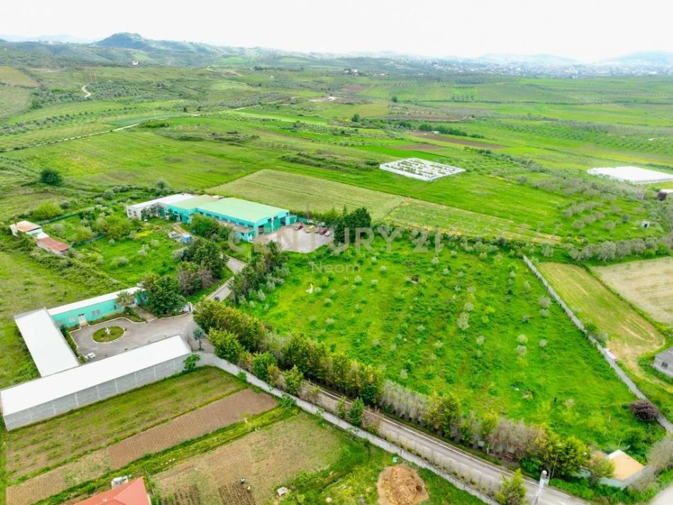 Fier, shitet ambjent biznesi Kati 0, 13.000 m² 590.000 € (Neom115179)