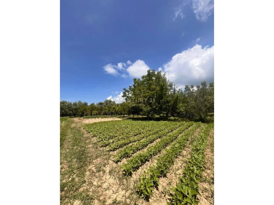 Tirane, shitet shtepi Kati 1, 100 m² 80.000 € 