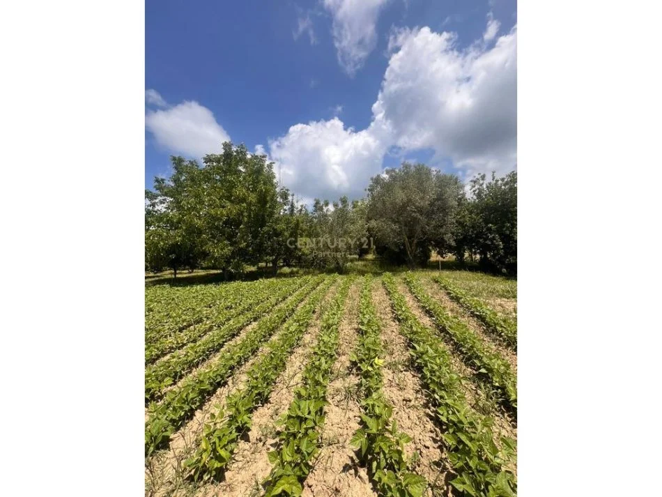 Tirane, shitet shtepi Kati 1, 100 m² 80.000 € 