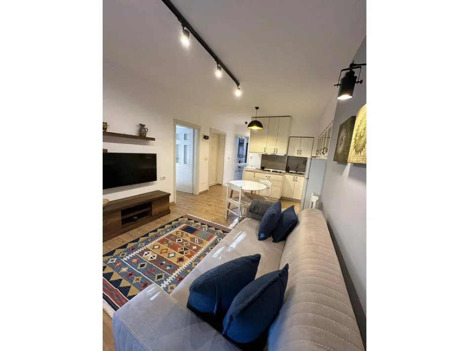 Tirane, jepet me qera apartament 1+1 Kati 1, 50 m² 600 € (Rruga e Elbasanit)