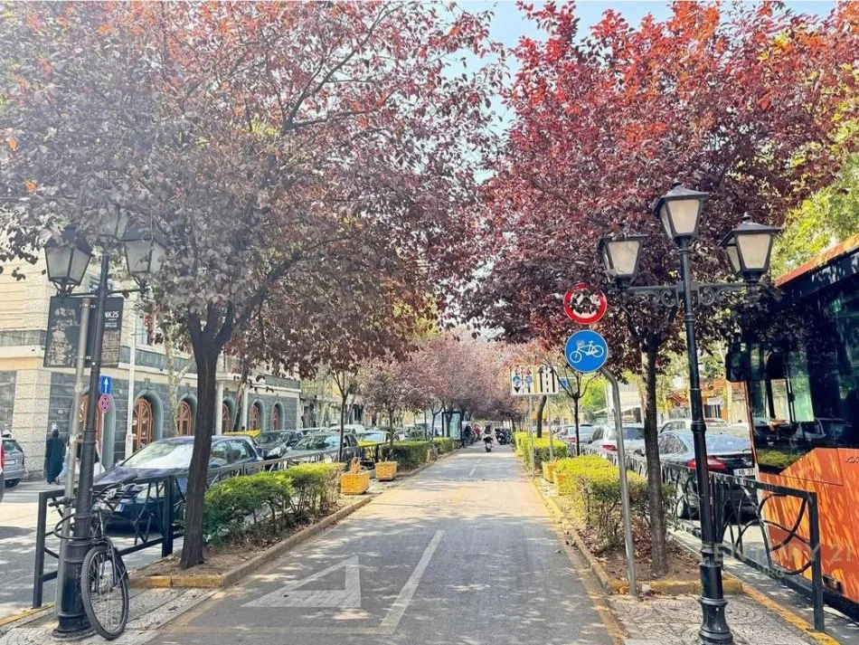 Tirane, jap me qera ambjent biznesi , 265 m² 8.500 € (Rruga e Kavajës)