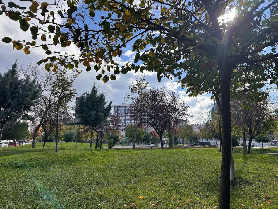 Tirane, jepet me qera apartament 1+1 Kati 7, 51 m² 550 € 