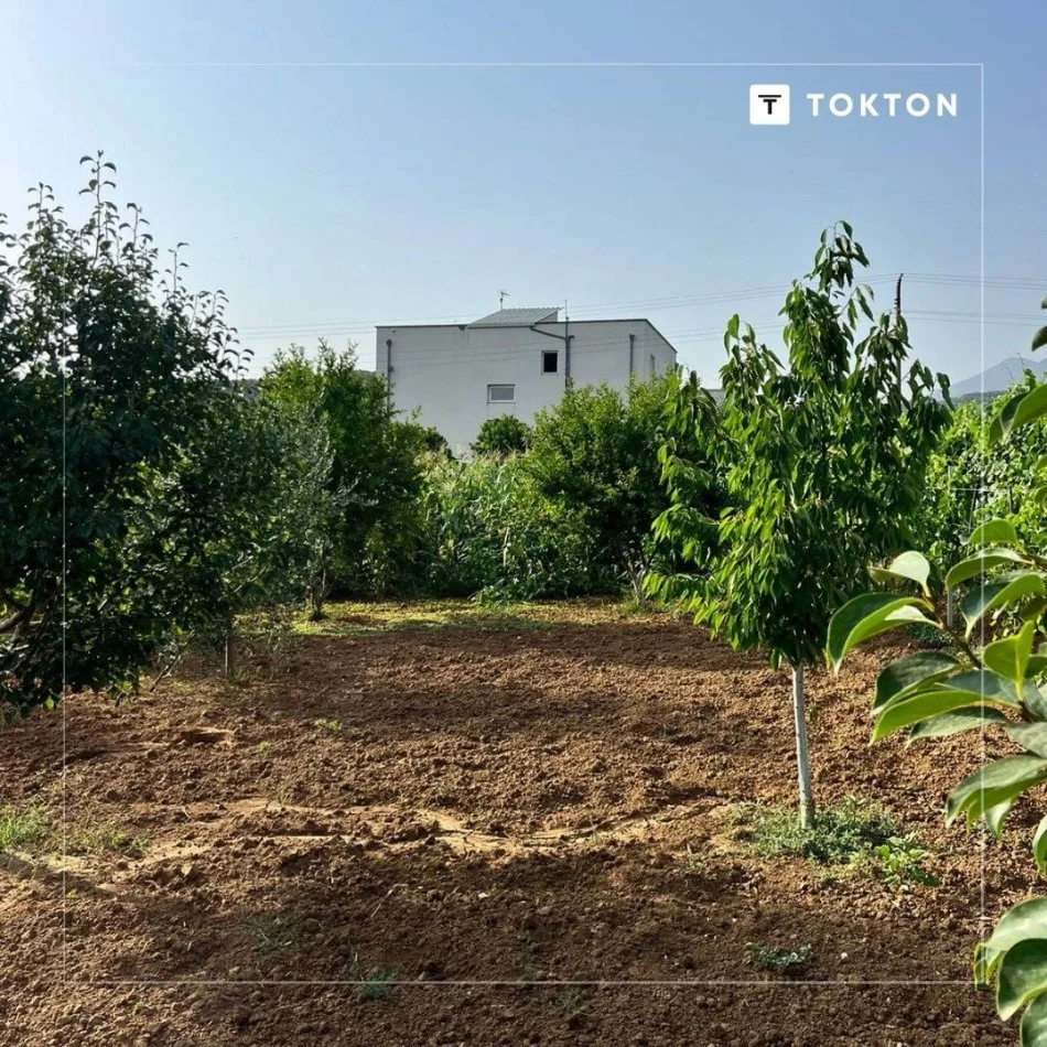 Tirane, jepet me qera shtepi 3+1 Kati 2, 360 m² 2.500 € (Adresa: Daias, Gurrë e Vogël, Tiranë.)