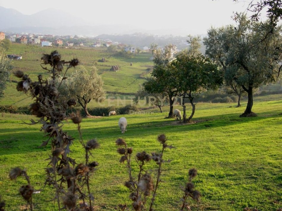 Tirane, shitet toke , 1.300 m² 208.000 € (Farke e Vogel) DREAM130423