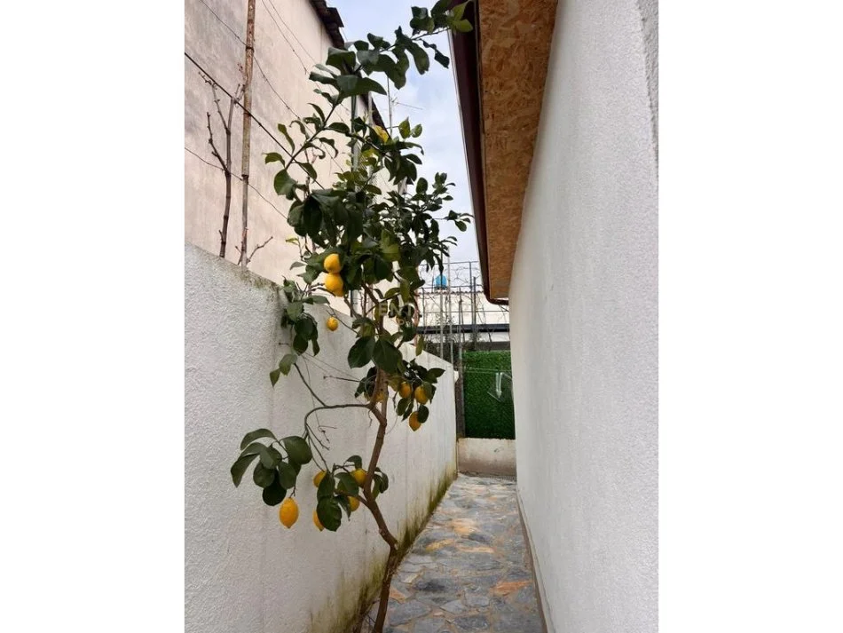 Shqiperi, shitet shtepi 1+1 Kati 1, 96 m² 80.000 € (treshi)