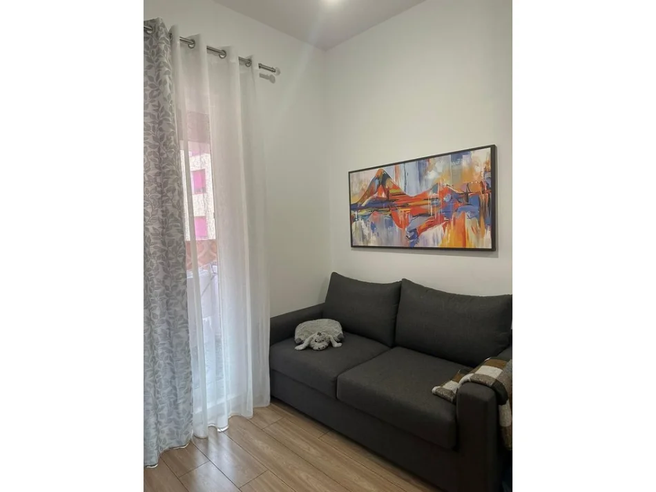Tirane, jepet me qera apartament 1+1 Kati 8, 45 m² 400 € (Ali Demi)