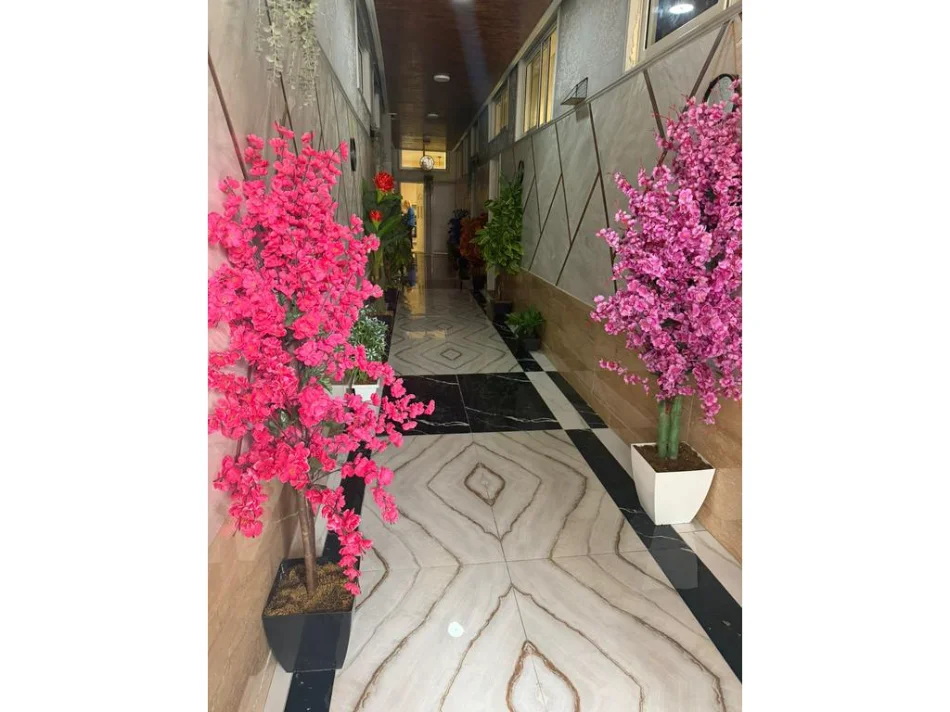 Tirane, jepet me qera apartament 1+1 Kati 1, 50 m² 400 € 