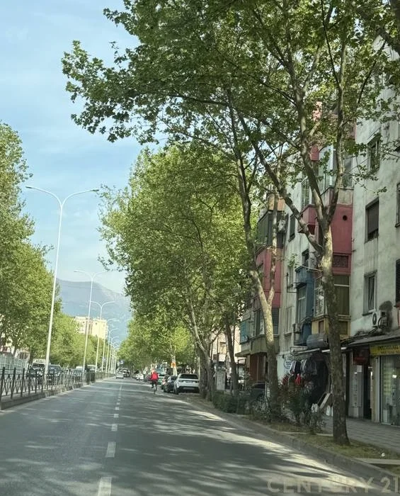 Tirane, jepet me qera dyqan Kati 0, 59 m² 700 € 