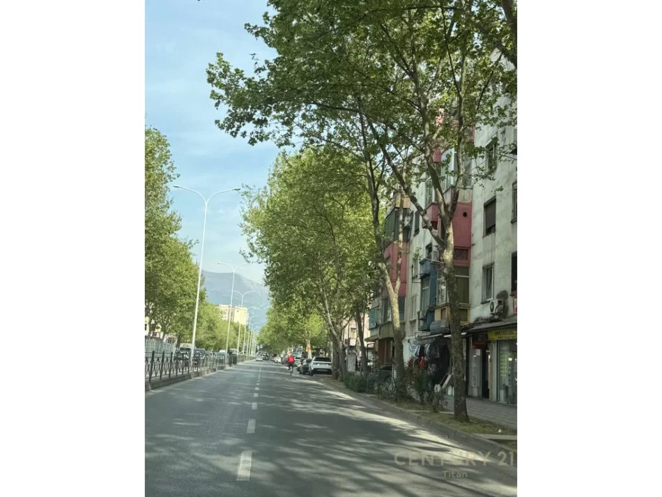 Tirane, jepet me qera ambjent biznesi Kati 1, 59 m² 700 € (Harry Fultz Titan137799)